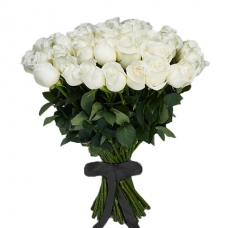 Цветы Розы Белые